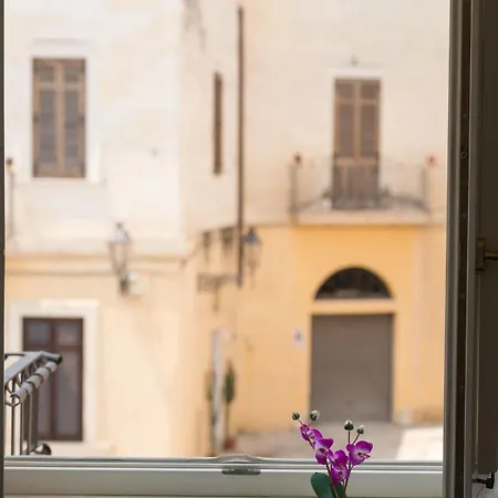 Gatto Bianco La Dimora Storica